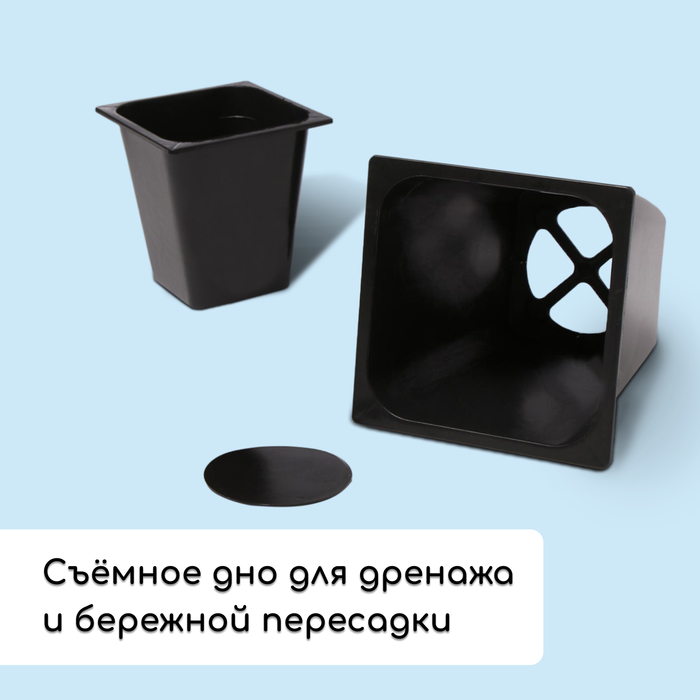 Набор для рассады: стаканы по 1 л (10 .), поддон 61 × 23 см, чёрный
