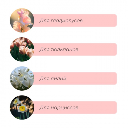 Корзина для посадки луковичных растений, круглая, d = 30 см, h = 8 см, чёрная