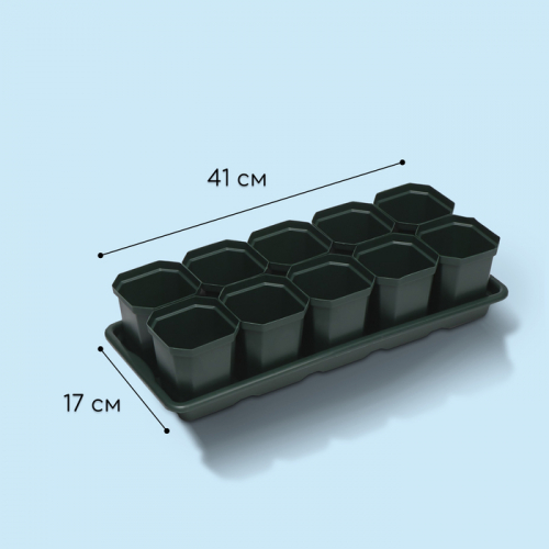 Набор для рассады: стаканы по 300 мл (10 .), поддон 41 × 17 см, цвет МИКС