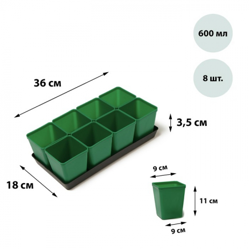 Набор для рассады: стаканы по 600 мл (8.), поддон 36 × 18 см, цвет МИКС, Greengo