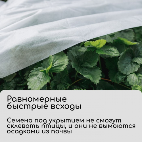 Материал укрывной, 5 × 1,6 м, плотность 30 г/м², спанбонд с УФ-стабилизатором, белый, Greengo, Эконом 30%