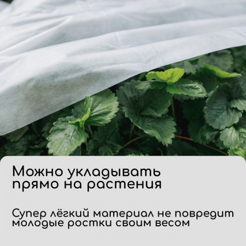 Материал укрывной, 5 × 1,6 м, плотность 30 г/м², спанбонд с УФ-стабилизатором, белый, Greengo, Эконом 30%