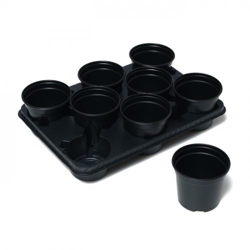Набор для рассады: стаканы по 520 мл (8.), поддон 40 × 30 см, чёрный, Greengo