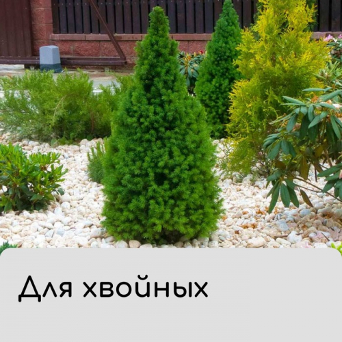 Чехол для растений, конус на завязках, 120 × 100 см, спанбонд с УФ-стабилизатором, плотность 60 г/м², МИКС
