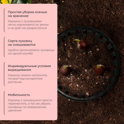 Корзина для посадки луковичных растений, круглая, d = 30 см, h = 8 см, чёрная
