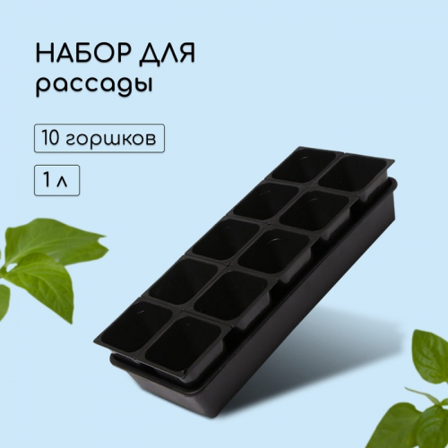 Набор для рассады: стаканы по 1 л (10 .), поддон 61 × 23 см, чёрный