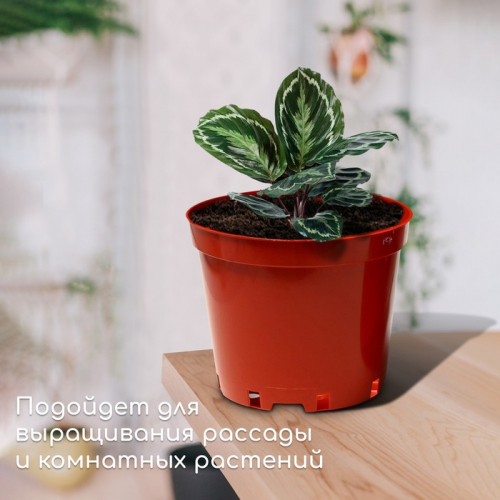 Горшок для рассады, 5 л, d = 22 см, h = 18 см, терракот, Greengo