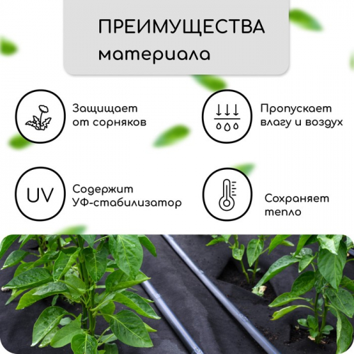 Материал мульчирующий, с перфорацией, 5 × 0,8 м, плотность 80 г/м², спанбонд с УФ-стабилизатором, чёрный, Greengo, Эконом 30%