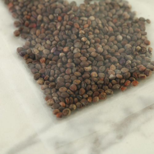 Набор для выращивания микрозелени «Редис санго»:лоток,семена (3), льняной коврик (3)