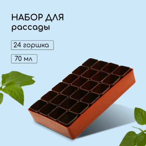 Набор для рассады: стаканы по 70 мл (24 .), поддон 29,5 × 20 см, МИКС