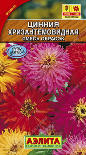 Цинния Хризантемовидная, смесь окрасокРАСПРОДАЖА срок до 12.2022