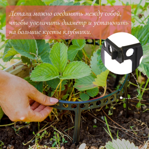 Кустодержатель для клубники, d = 11 см, пластик,  10 шт., цвет МИКС