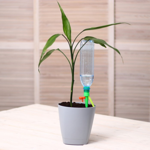 Автополив для домашних растений под бутылку, пластиковый, зелёный, регулируемый, высота 12 см, 2.