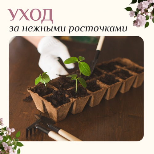 Набор садового инструмента, 3 предмета: грабли, 2 лопатки, длина 24 см, деревянные ручки, Greengo