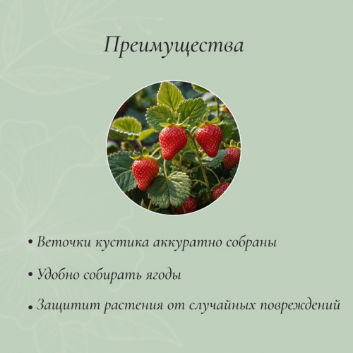 Кустодержатель для клубники, d = 11 см, пластик,  10 шт., цвет МИКС
