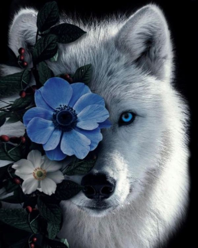 Цветок и волк