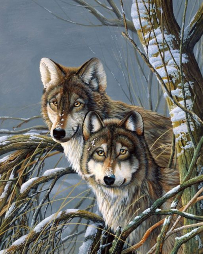 Два волка (худ. Венинг Я.)
