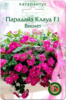 Цветы Катарантус розовый (Винка) Парадайз Клауд F1 Виолет (5 шт) Биотехника