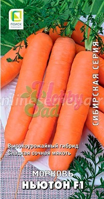 Морковь Ньютон F1 (1 гр) Поиск