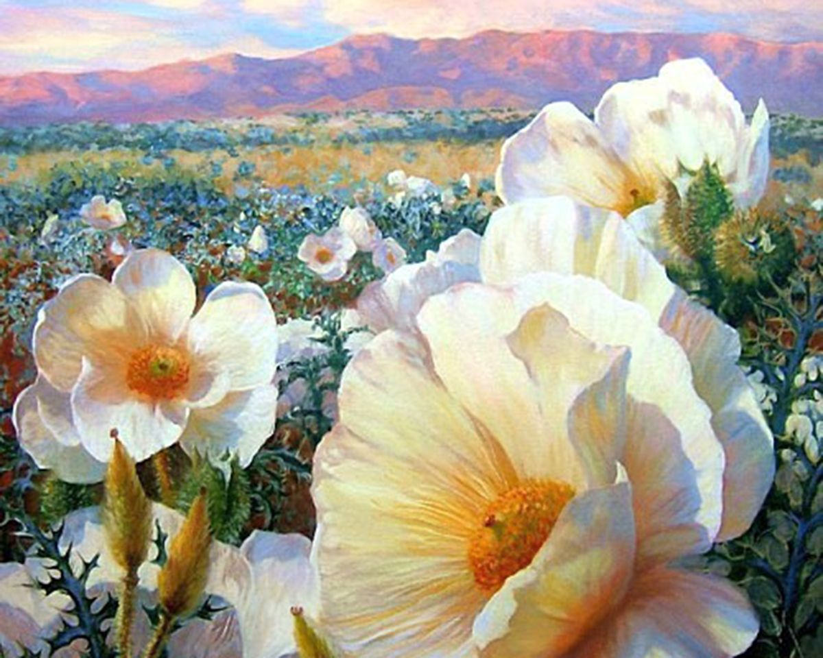 Алмазная мозаика круглыми стразами 40x50