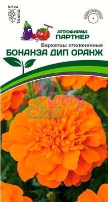 Цветы Бархатцы Бонанза Дип Оранж отклоненные (10 шт) Партнер