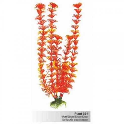 BARBUS 021/10 см. Plant оранжевая растение