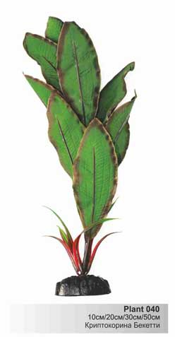 BARBUS Шелковое растение 30 см. Криптокорина Бекетти PLANT 040/30