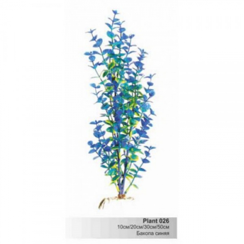BARBUS 026/10 см. Plant синие растение