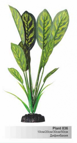BARBUS Шелковое растение 50 см. Дифинбахия PLANT 036/50