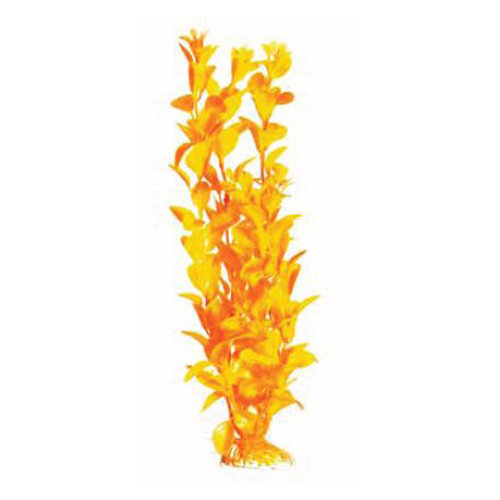 BARBUS 012/20 см. Plant ярко-желтое растение