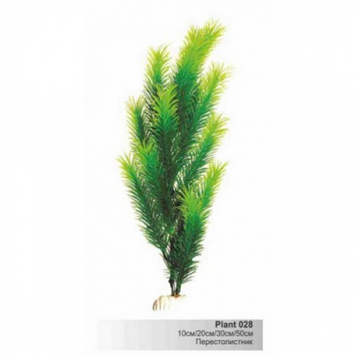 BARBUS 028/10 см. Plant зеленое растение