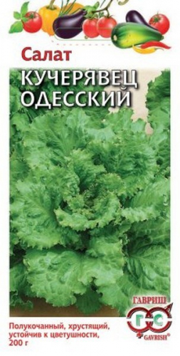 Семена Салат Кучерявец Одесский 0,5 г хрустящий