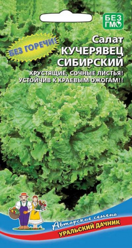 Семена Салат Кучерявец Сибирский (УД) Е/П