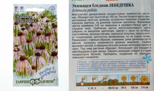 Семена Эхинацея Лебедушка * 0,1 г серия Устойчив к заморозкам!