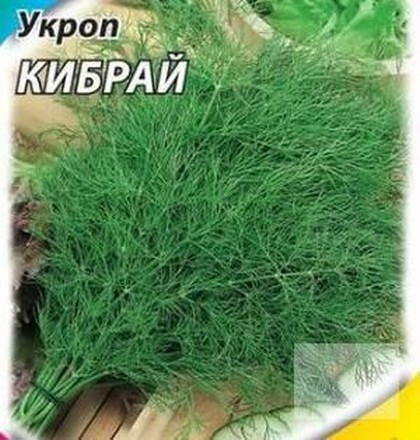 Семена Укроп Кибрай 3г (б/п)