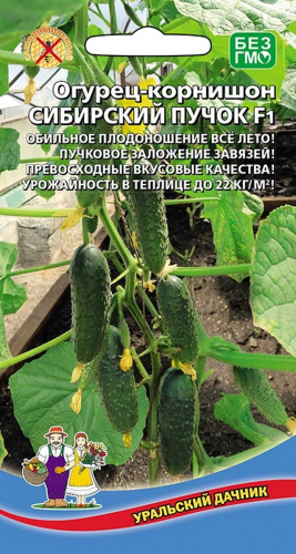 Семена Огурец Сибирский пучок F1 (УД) Е/П