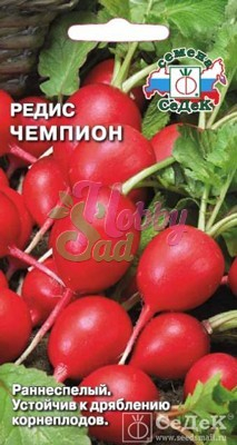 Редис Чемпион (3 г) Седек