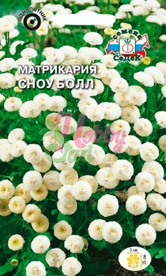 Цветы Матрикария Сноу Болл (0,1 г) Седек