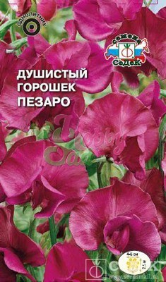 Цветы Душистый Горошек Пезаро (1 г) Седек