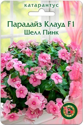 Цветы Катарантус розовый (Винка) Парадайз Клауд F1 Шелл Пинк (5 шт) Биотехника