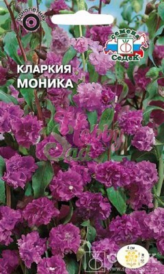 Цветы Кларкия Моника (0,2 г) Седек