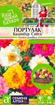 Цветы Портулак Каламбур (0,1 г) Семена Алтая серия Ваш яркий балкон