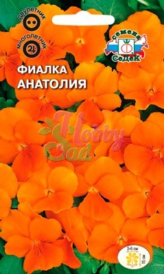 Цветы Фиалка Анатолия (0,05 г) Седек