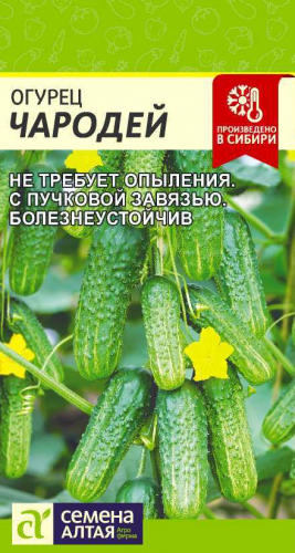 Огурец Чародей F1/Сем Алт/цп 6 шт.