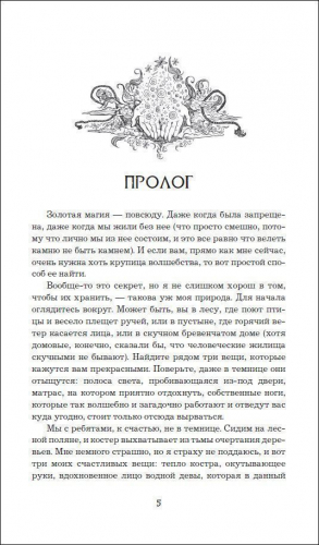 Анима. Серебряный Ястреб. Книга 2