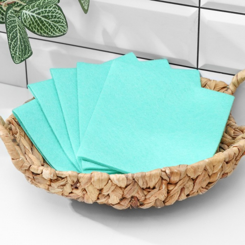 Салфетки вискозные для сухой и влажной уборки Доляна, 30×30 см, 5 шт, цвет зелёный