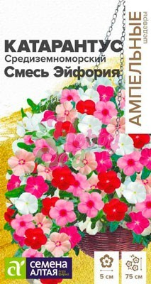Цветы Катарантус Средиземноморский Эйфория Смесь (7 шт) Семена Алтая серия Ампельные Шедевры