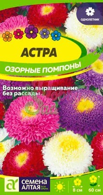 Цветы Астра Озорные Помпоны (0,3 гр) Семена Алтая