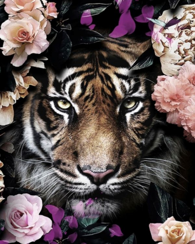 Картина по номерам 40х50 - Тигр в цветах