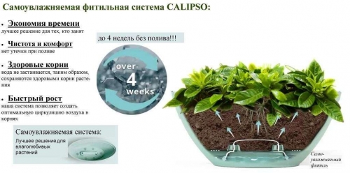 ВАЗОН (горшок) “CALIPSO” 3,3 Л. Цвет Фиолетовый-Белый